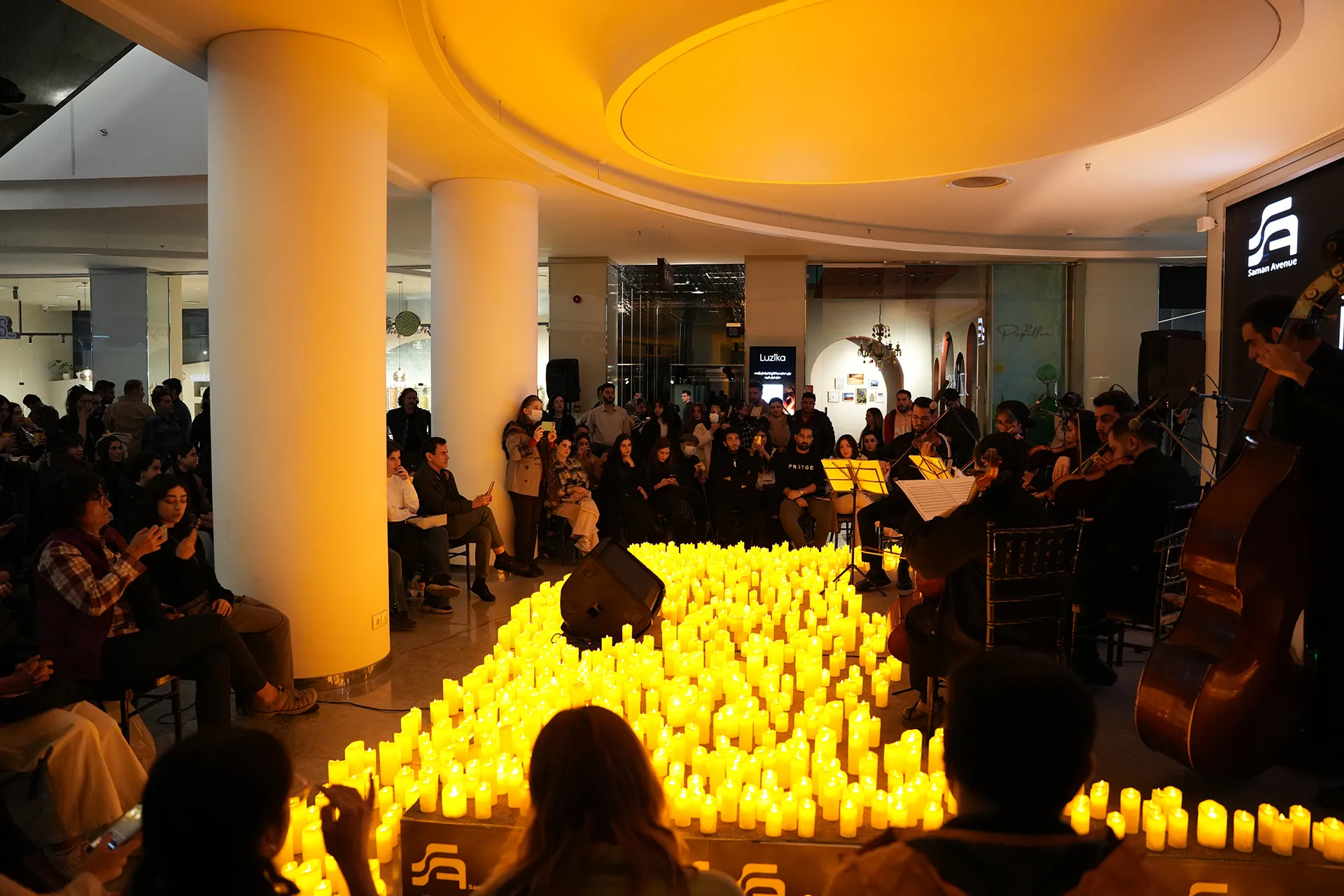 کنسرتهای زنده لوزیکا